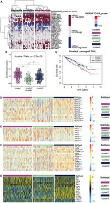 Potential Application of Pyroptosis in Kidney Renal Clear Cell Carcinoma Immunotherapy and Targeted Therapy